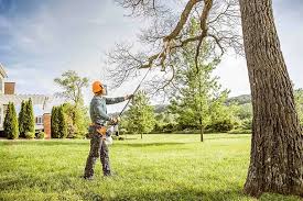 Best Hazardous Tree Removal  in Whidbey Island Station, WA